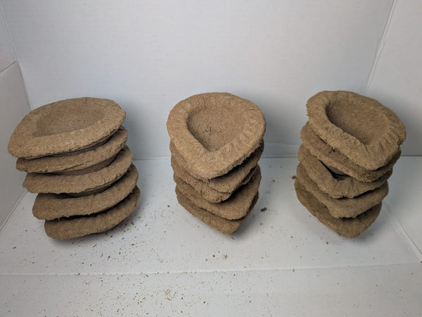 Panchaghavya deepa made with nati cow dung for auspicious days