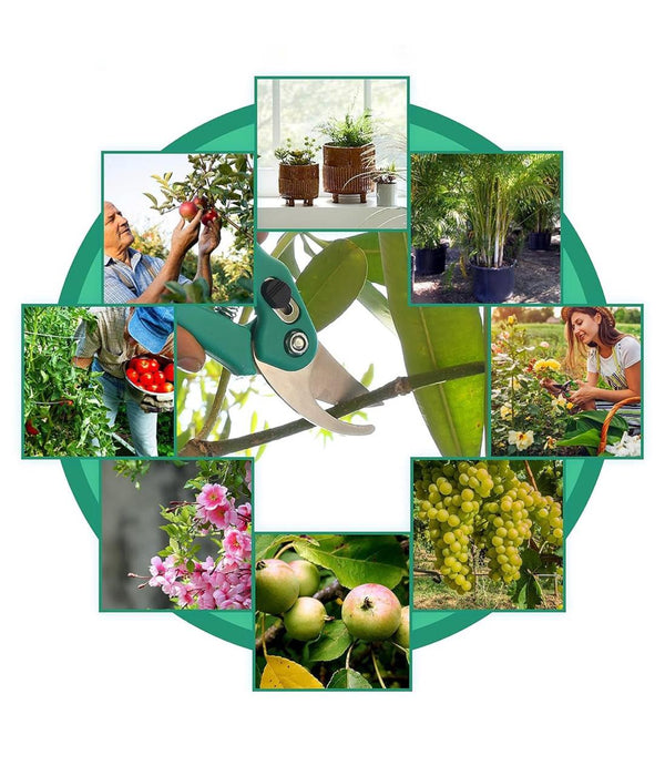 Original DELUX Flower Cutter