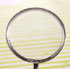 2in1 Stainless Steel mesh Strainer Spoon with Clip